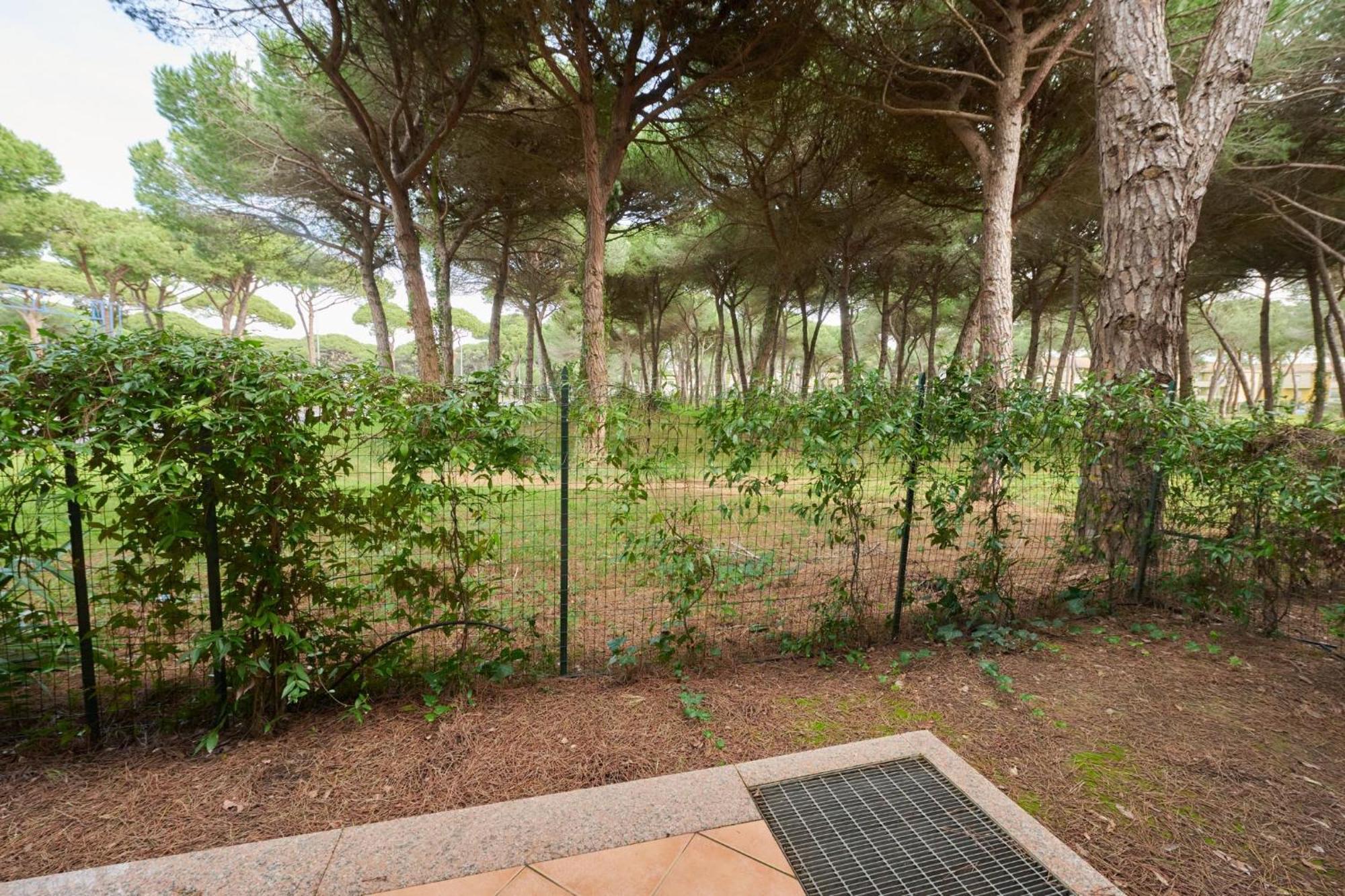 Pineta Azzurra