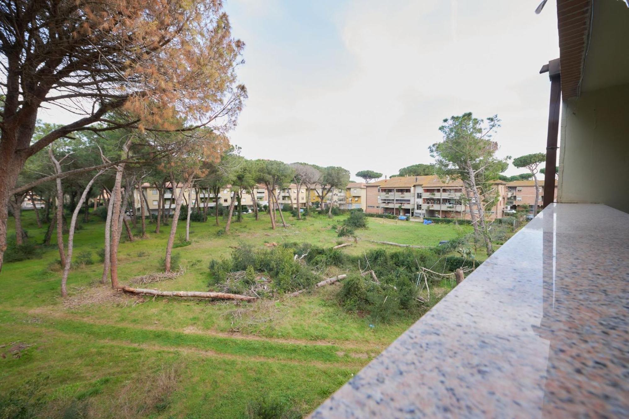 Pineta Azzurra